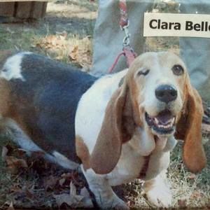 Meet your Posher, Anne